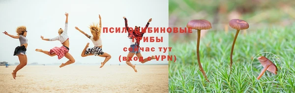 ECSTASY Гатчина