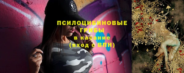 гидропоника Горнозаводск