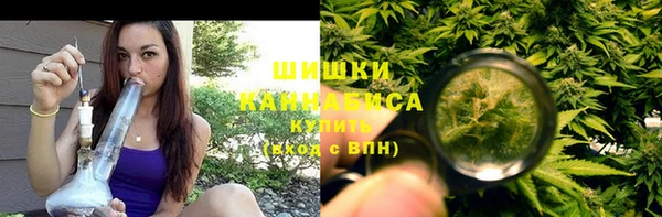 ECSTASY Вяземский